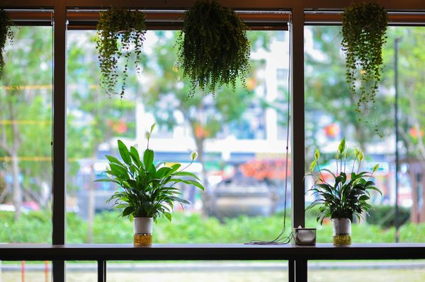 Agence immobilière à lyon 9 : un accompagnement personnalisé et de qualité